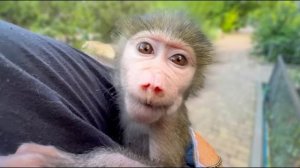 Мы с Люсей идём проведать Джони- Люся СНЕЖНАЯ КОРОЛЕВА! АнгеЛюсики в Тайгане!