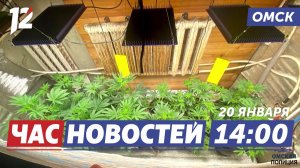 Выращивал коноплю / Гуманитарный груз / Луна и солнце. Новости Омска