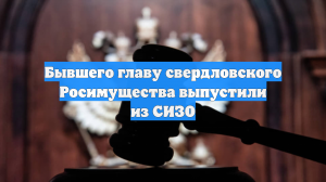 Бывшего главу свердловского Росимущества выпустили из СИЗО