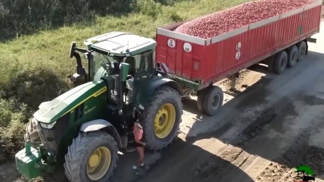 Необычные случаи с Тракторами и техникой. (7) смотреть онлайн