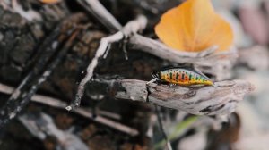 Воблер с Алишки