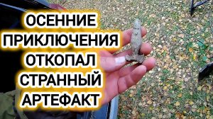 Приборный поиск с металлоискателем откопал странный артефакт.