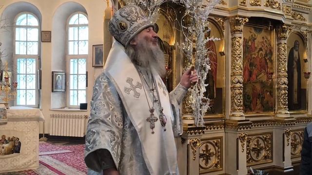 Проповедь митрополита Иоанна в праздник Богоявления в храме Рождества Христова г. Йошкар-Олы смотреть онлайн