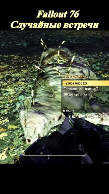 Fallout 76 Случайные встречи смотреть онлайн
