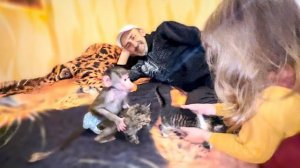 Люся включила ЯЖЕМАТЬ и не отдает Ангелине и нам котят)))