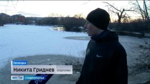 Жители и гости Пятигорска переволновались за местных уток