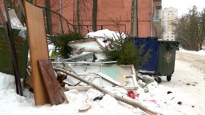 (Рыбинск-40) УТИЛИЗИРУЙТЕ ЁЛКИ ПРАВИЛЬНО