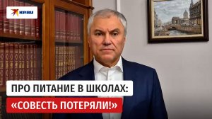 Володин о питании в школах Саратовской области: «Надо наводить порядок!»