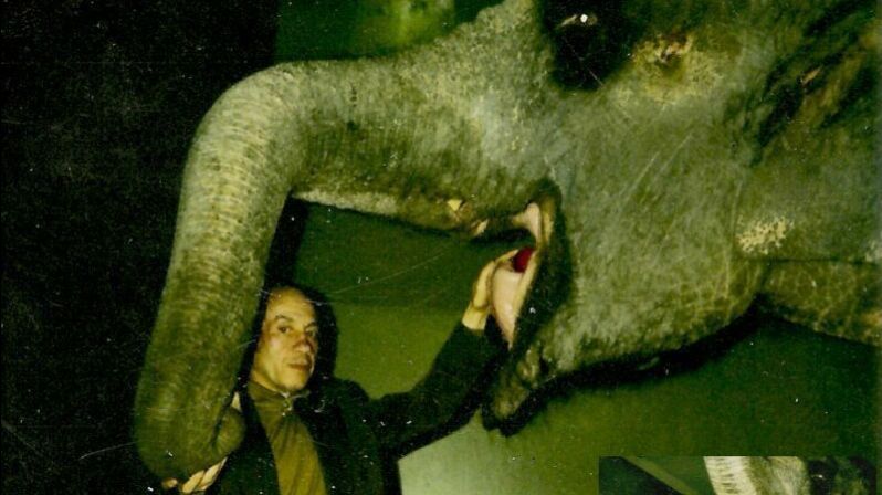 Слон за решёткой смотреть онлайн