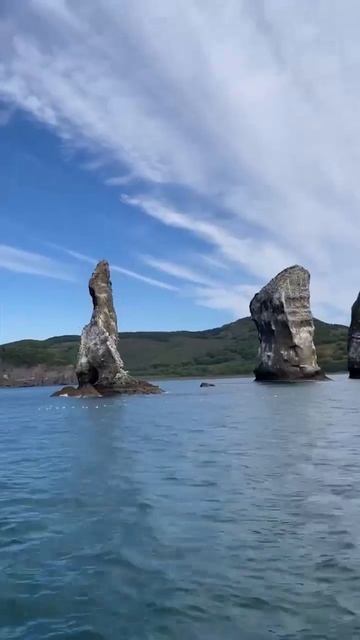 VID_20260121_193846_336.mp4 смотреть онлайн