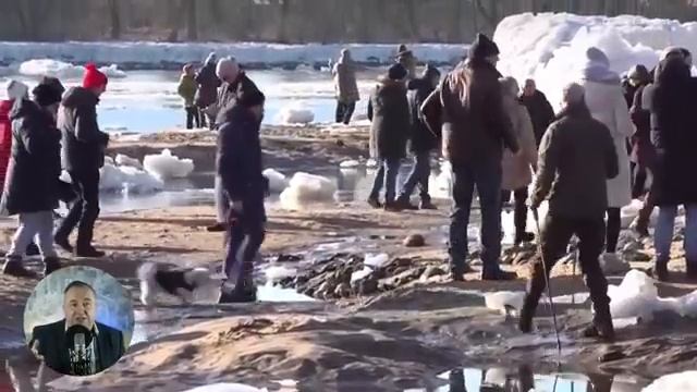 Коллапс в Германии. Протесты усилились. В МВФ предложили рычать