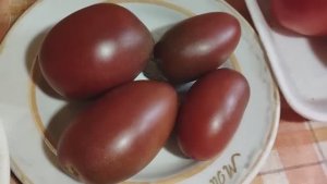 Томаты, устойчивые к болезням и неблагоприятным условиям. г. Киров