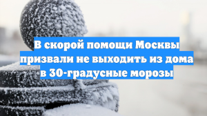 В скорой помощи Москвы призвали не выходить из дома в 30-градусные морозы