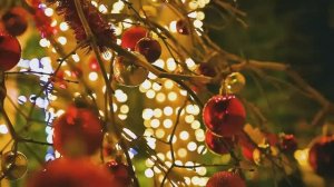 Новогоднее оформление. Округа