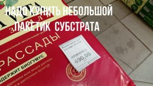 ПЕТЕРБУРГ В ЯНВАРЕ 2026 ГОДА.