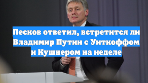Песков ответил, встретится ли Владимир Путин с Уиткоффом и Кушнером на неделе