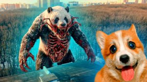 Я УКОКОШИЛ Zoocosis ПАНДУ! НО ЧТО-ТО ПОШЛО НЕ ТАК!! Корги Коржик Говорящая собака