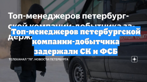 Топ-менеджеров петербургской компании-добытчика задержали СК и ФСБ