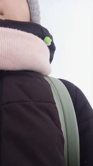 с лп иду домой