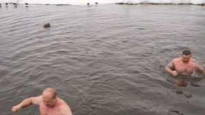 Зимние пловцы провели тренировку на реке Уче