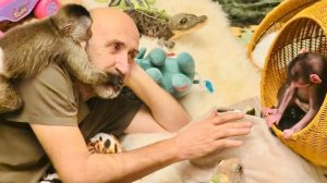 Финик-ТРУСИШКА! Папа Влад изо всех сил пытается подружить малышей Финика и Николь😂