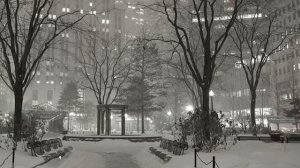 Новый перс! Знакомтесь Луна.