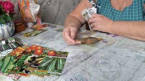 Обзор семян овощей на 26г.