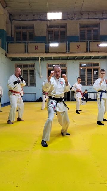 Asai Ryu Karate. Работаем! смотреть онлайн