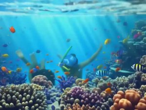 Детский Нырок в Лагуну Чудес