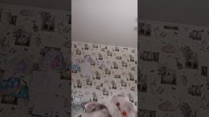 подпишись
❤️