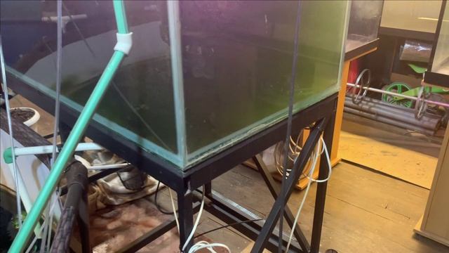 Стойка для дискусов и просто про КОИ смотреть онлайн