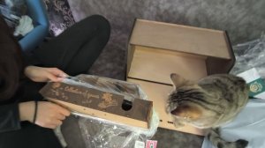 Влог.Купила классную хлебницу и сушилку для посуды 19.01.26