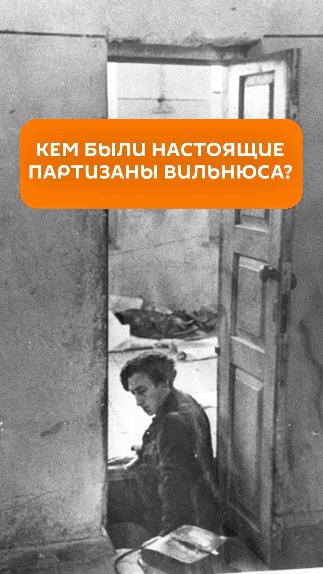 История настоящих партизан Вильнюса смотреть онлайн