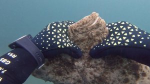 Калкан / Подводная охота