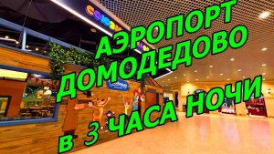 АЭРОПОРТ, КОТОРЫЙ (ПОЧТИ) СПИТ. САМОЕ СПОКОЙНОЕ ВРЕМЯ В DME. ЭСТЕТИКА НОЧНОГО АЭРОПОРТА ДОМОДЕДОВО✨