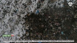 Свалка под присмотром