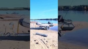 Коптим окуня горячего копчением