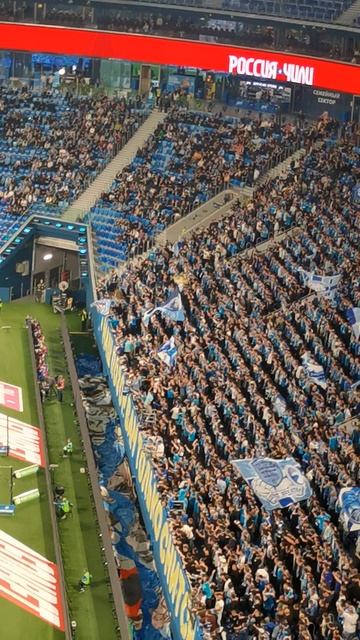 Фанаты "Зенита". смотреть онлайн