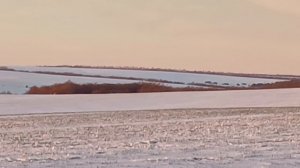 Природа Донского края зимой.Рыбалка на жерлицы