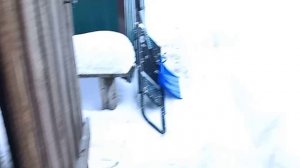 УБРАЛА СНЕГ С ТЕПЛИЦ❄️ ЧУТЬ НЕ УТОНУЛА В СНЕГУ.🙉 ПРИГОТОВИЛА🍲 ИСПЕКЛА КЕКС🥮