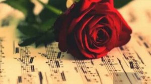 1000374185.mp4 Евгений Осин "Таня+Володя" 🎶