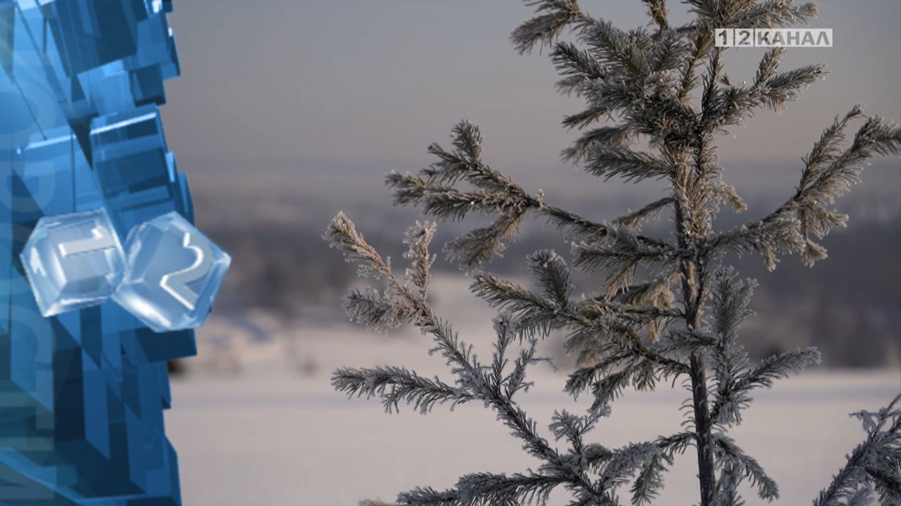 Морозы с отметкой -40 градусов и ниже были зафиксированы на территории Березовского в январе смотреть онлайн