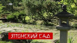 Японский сад