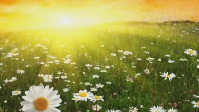 Бежит дорожка - Иван Ведерников смотреть онлайн