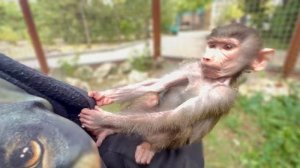 Люська с Сеней устроили на мне соревнование ЧЬЯ МАМА! Ангелина выясняет откуда взялись дыры в земле