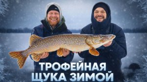 На что ловить ТРОФЕЙНУЮ ЩУКУ зимой?
