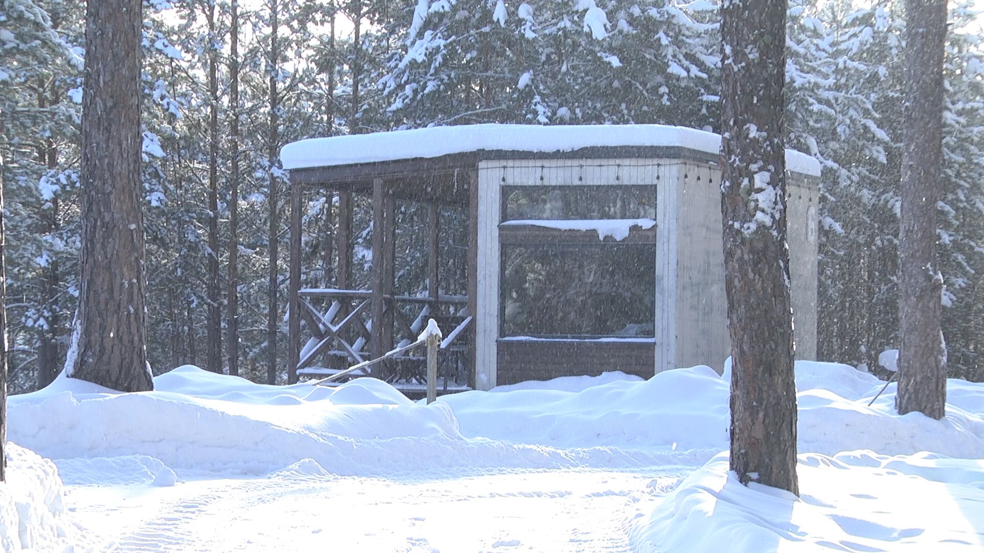 Пожар на курганском «Острове»: владелец назвал возможную причину возгорания смотреть онлайн