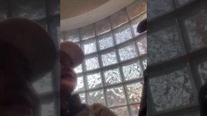 Новости о BTS 21.01.2026г