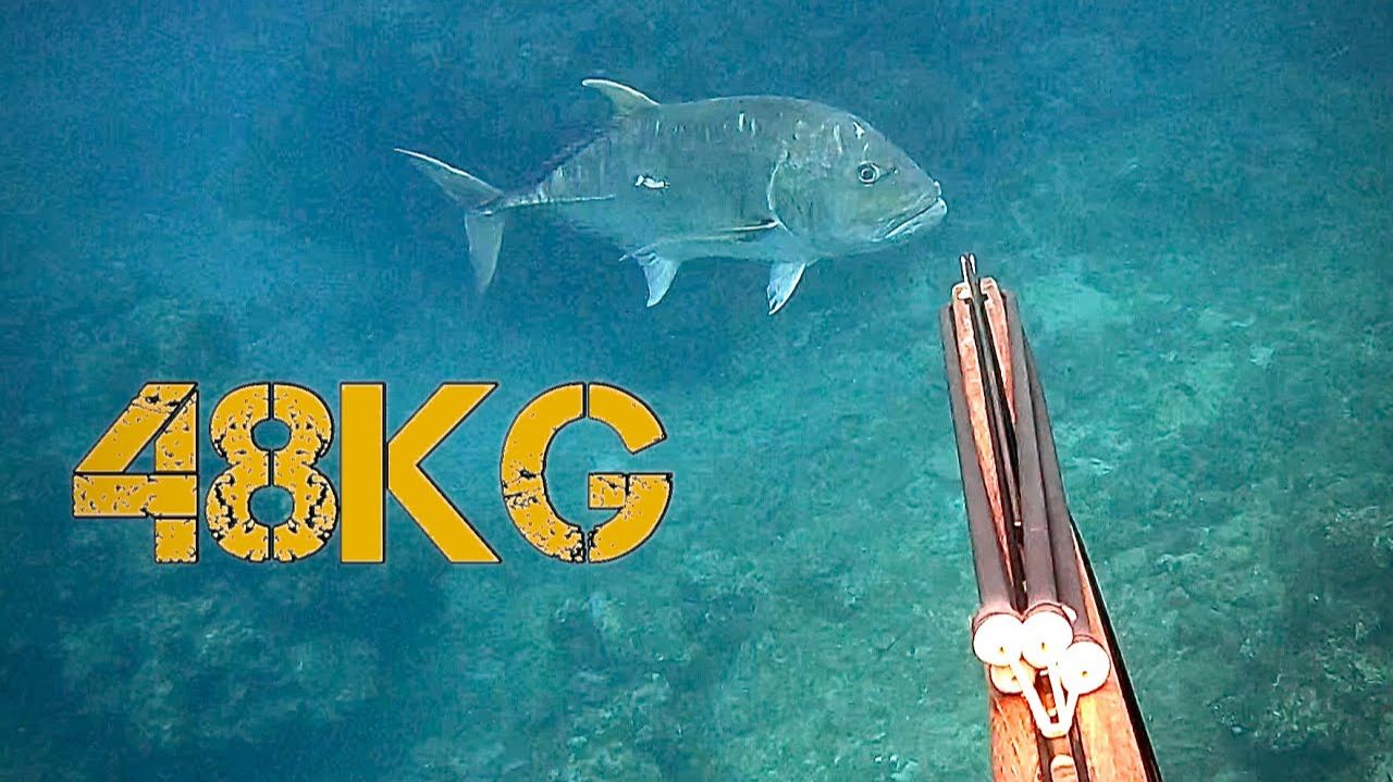 Подводная охота / Свободное погружение за гигантским тревалли 48 кг смотреть онлайн