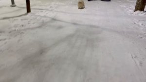 Зимние забавы ❄️❄️❄️| Любимый Краснодар | Семейные встречи | #мирувлечений